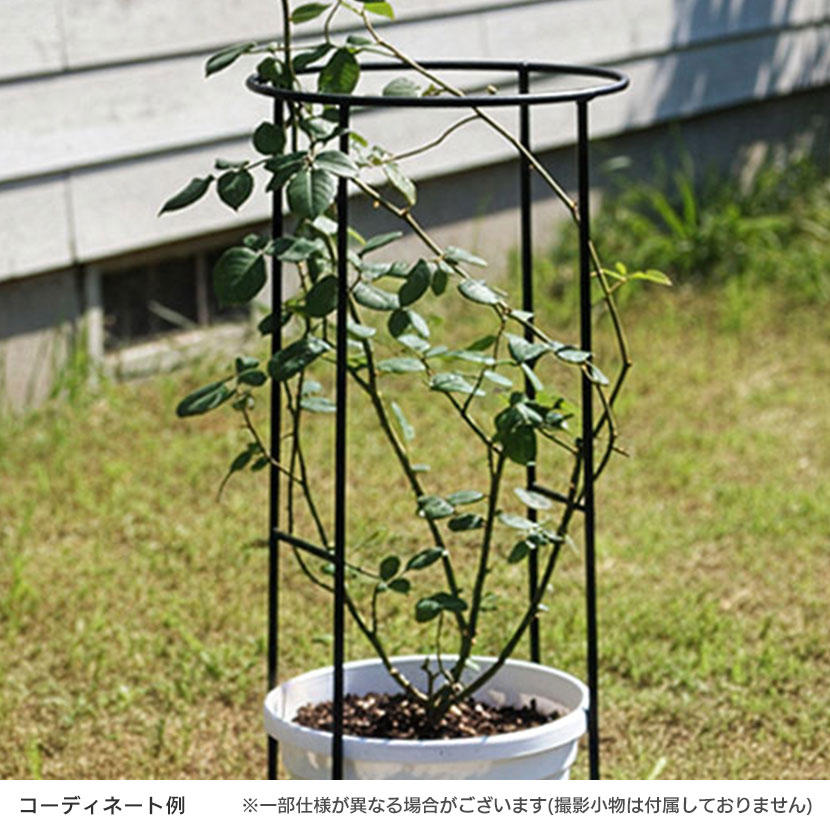 【4本セット】アイアン製植物サポーター 花ささえ 園芸支柱 倒れ防止 広がり 庭 ガ...