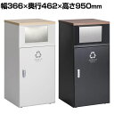 テラモト トラッシュボックスFTスリム プラスチック用 ゴミ箱 47.5L カウンタータイプ プッシュ式 アジャスター付き 分別 幅366×奥行462×高さ950mm(3)
