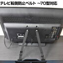 テレビ転倒防止ベルト TVガード 〜70型対応 蝶ネジ止めタイプ TVG-70AC 地震対策 耐震 防災 固定