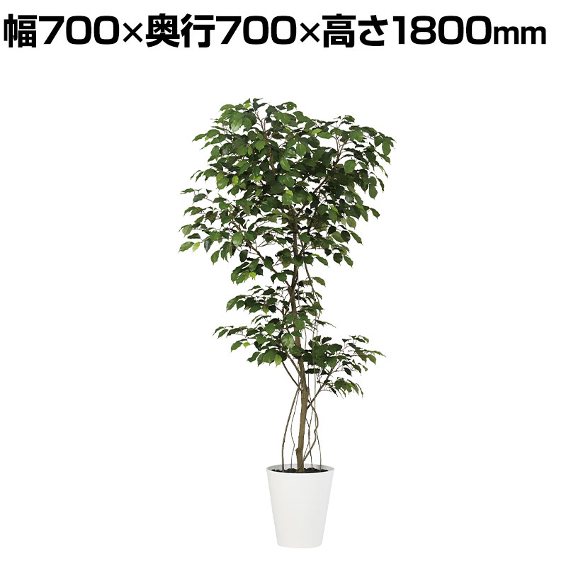 観葉植物 人工樹木 フェイクグリーン 造花 ベンジャミン FST 高さ1800mm 鉢:SA-10(WH) 商品について サイズ(本体)外寸 / 幅700×奥行700×高さ1800mm鉢 / 直径285×高さ320mm 材質鉢 / ポリプロ...