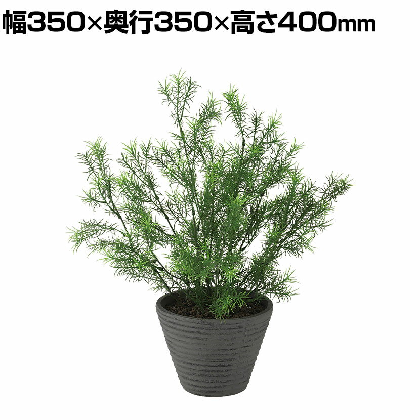 観葉植物 人工樹木 フェイクグリーン 造花 スプレンゲリー 高さ400mm 鉢:PラウンドS(BK) 卓上
