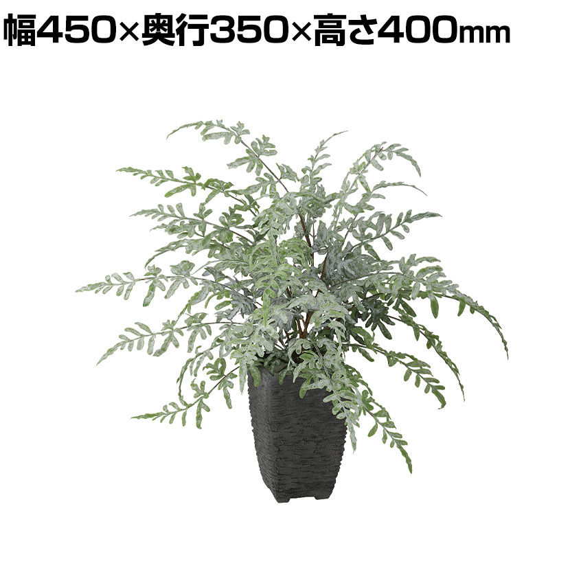 楽天市場】観葉植物（オフィス家具｜インテリア・寝具・収納）の通販