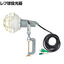 日動 レフ球投光器 100V 300W 5m アース付き AFE305100V