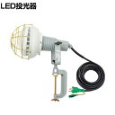 日動 エコビックLED投光器40W 昼白色 アース付き 10m AFLE4010J