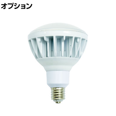 [IvV]  LED nCXybNGRrbN40W E39 F {̔ L40V2J11050K