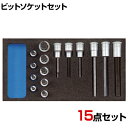 GEDORE ゲドレー ビットソケットセット 1500CT1-IN19LKM 2308932