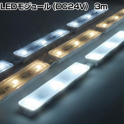 ȥ饤 LED⥸塼 Viewmo24 DC24V Ĺ3000mm TLVM27233