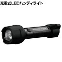 LEDLENSER レッドレンザー P5R Work 502185