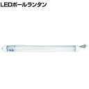 HASEGAWA ハセガワ LEDポールランタン PL0-25LES PL0LS03