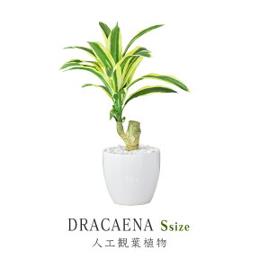 【★4h限定★15％OFFクーポン 4/24 20時～24時】 【レビュー特典あり】 人工観葉植物 光触媒 ドラセナ 水やり不要 インテリアグリーン 観葉植物 造花ドラセナS 送料無料