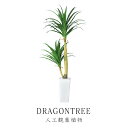 人工観葉植物 フェイクグリーン 観葉植物 ドラゴンツリー 造花 光触媒 5号 鉢 水やり不要 インテリア おしゃれ お祝い 誕生日 出産内祝い お返し 結婚 父...