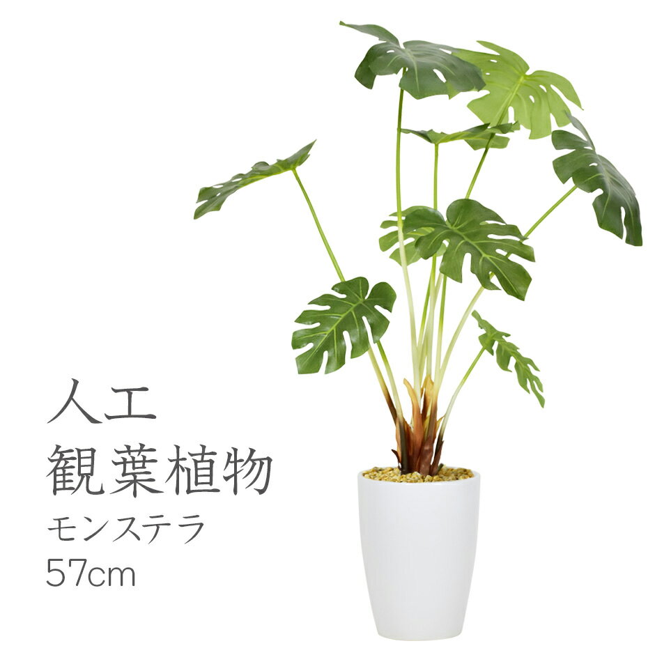 【クーポン20%off 9/10 0時-9/11 2時】人工観葉植物 光触媒 モンステラ57cm 水やり不要 高さ57 インテリアグリーン 観葉植物 造花モンステラ57cm 送料無料