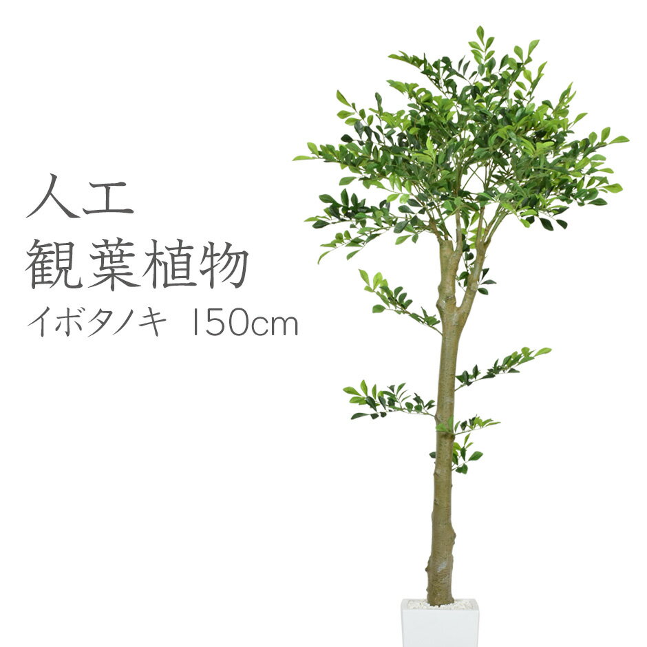 楽天officedoris人工観葉植物 フェイクグリーン 観葉植物 イボタノキ インテリアグリーン 造花 光触媒 5号 鉢 水やり不要 インテリア おしゃれ お祝い 誕生日 出産内祝い お返し 結婚 父 母 男性 女性 彼氏 彼女 お祝い お礼 贈り物 プレゼント イボタノキ150cm 送料無料