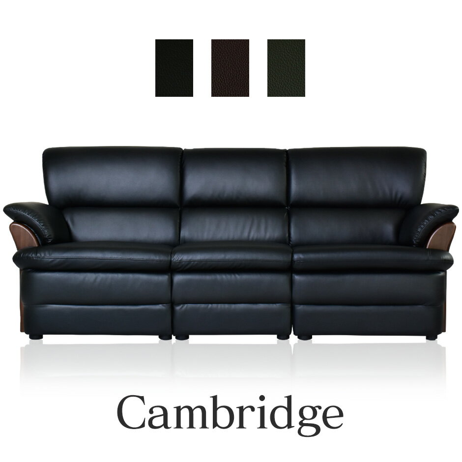 ソファ 三人掛け ソファー 3人掛け 応接ソファー フロアソファ ビジネス フロアソファー モダン 3Pソファー 肘掛け ケンブリッジ3Pドリス送料無料