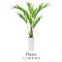 人工観葉植物 フェイクグリーン 観葉植物 プラム 造花 光触媒 5号 鉢 水やり不要 インテリア おしゃれ お祝い 誕生日 出産内祝い お返し 結婚 父 母 男...