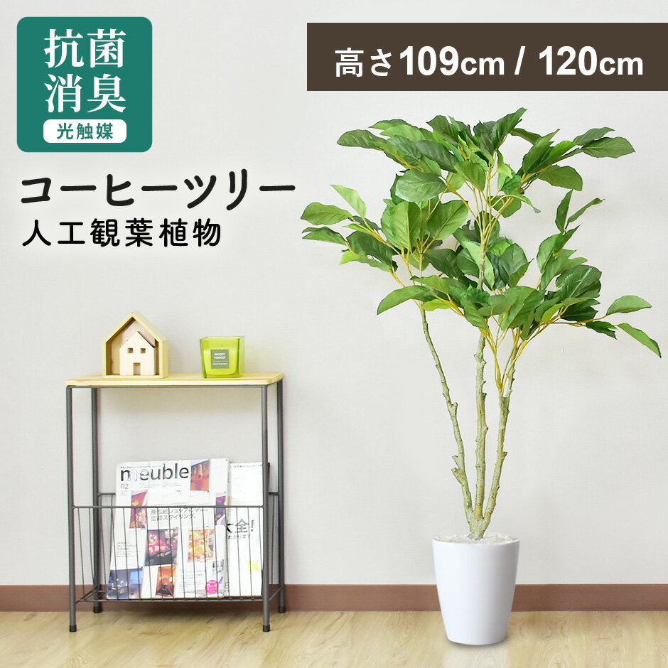 人工観葉植物 お手入れ不要 完成品 かんたん設置 フェイクグリーン フェイクプラント 室内用 鉢付き 置くだけ 観葉植物 コーヒーの木 インテリアグリーン 造花 光触媒 水やり不要 インテリア おしゃれ 誕生日 結婚 父 母 お祝い 贈り物 北欧 モダン コーヒーツリー ドリス