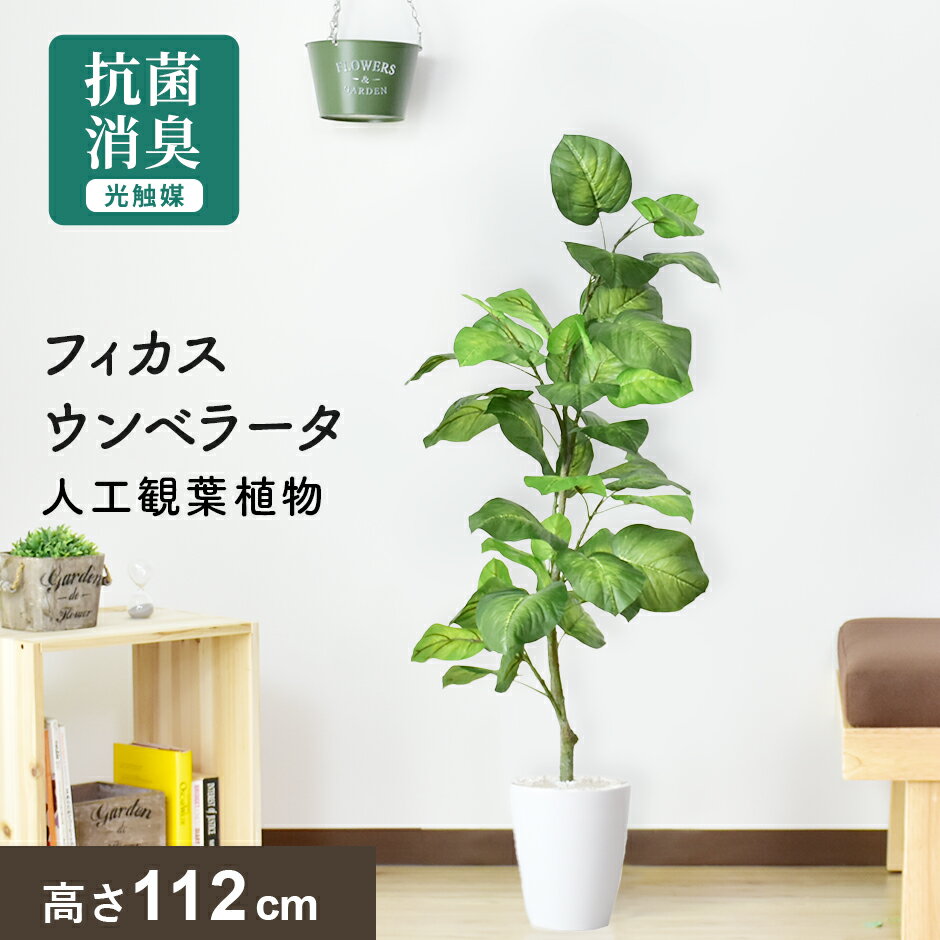【クーポン20%off 1/15 00時〜26時】 人工観葉植物 お手入れ不要 完成品 かんたん設置 フェイクグリーン フェイクプラント 室内用 鉢付き 置くだけ 観葉植物 インテリアグリーン 造花 光触媒 5号 鉢 水やり不要 インテリア お祝い 結婚 フィカスウンベラータ ドリス