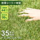 人工芝 防草シート 一体型 2m×10m 1m×5m 1m×10m 1m×2m 1m×20m 2m×5m ロール 芝丈35mm 8年耐久 超高密度 44万本 人...