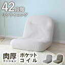 座椅子 ソファー ソファ リクライニング座椅子 42段階 背もたれ 折りたたみ リラックスチェア ローソファ フロアチェア チェア チェアー 1人掛け 一人掛け 座いす 持ち運び 軽量 北欧 かわいい リノ1P ドリス 送料無料