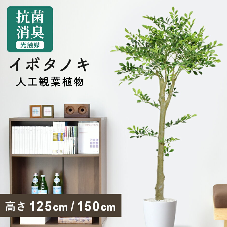 【クーポン20%off 1/15 00時〜26時】 人工観葉植物 大型 高さ150 お手入れ不要 完成品 かんたん設置 フェイクグリーン フェイクプラント 室内用 鉢付き 置くだけ 観葉植物 リビング 人工植物 インテリアグリーン 造花 光触媒 5号 鉢 水 イボタノキ150cm ドリス