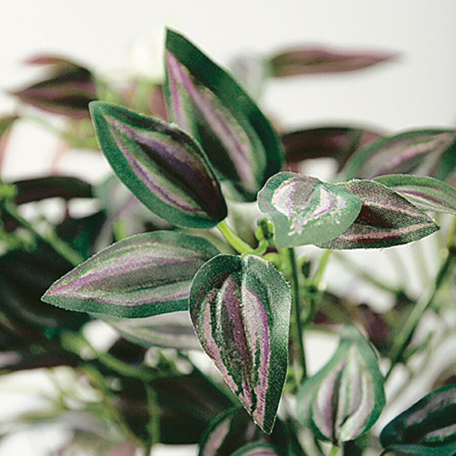 �ե��������꡼��� ���֥�� ����40 �� ����30 �� �⤵25cm���ե������꡼�� ���տ�ʪ �ե����� �͹����տ�ʪ ��� ���Ƚˤ� ��Ź�ˤ� ��ž�ˤ� ���۽ˤ� £��ʪ �������