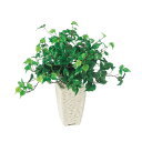 フェイクグリーン【 光触媒 シサス R 】幅35 × 奥行25 × 高さ35cmオフィスグリーン 観葉植物 フェイク 人工観葉植物 卓上 開業祝い 開店祝い 移...