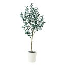 フェイクグリーン【 光触媒 ブラックオリーブ FST 】幅60 × 奥行40 × 高さ150cmオフィスグリーン 観葉植物 フェイク 人工観葉植物 大型 開業祝...