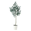 フェイクグリーン【 光触媒 ブラックオリーブ FST 】幅80 × 奥行60 × 高さ180cmオフィスグリーン 観葉植物 フェイク 人工観葉植物 大型 開業祝...