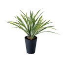フェイクグリーン【 光触媒 アオオリヅルラン 】幅45 × 奥行40 × 高さ40cmオフィスグリーン 観葉植物 フェイク 人工観葉植物 大型 開業祝い 開店祝...