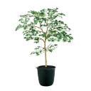 フェイクグリーン【 ヤマモミジ GREEN FST 】幅70 × 奥行70 × 高さ100cmオフィスグリーン 観葉植物 フェイク 人工観葉植物 大型 開業祝い...