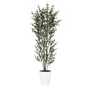 フェイクグリーン【 ベンジャミンバロック FST 】幅65 × 奥行65 × 高さ180cmオフィスグリーン 観葉植物 フェイク 人工観葉植物 大型 開業祝い ...