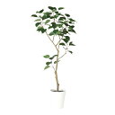 フェイクグリーン【 インドボダイジュ FST 】幅70 × 奥行50 × 高さ150cmオフィスグリーン 観葉植物 フェイク 人工観葉植物 大型 開業祝い 開店...