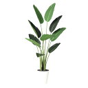 フェイクグリーン【 光触媒 オーガスタ 】幅70 × 奥行70 × 高さ150cmオフィスグリーン 観葉植物 フェイク 人工観葉植物 大型 開業祝い 開店祝い ...
