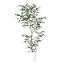 フェイクグリーン【 光触媒 トネリコ FST 】幅80 × 奥行70 × 高さ180cmオフィスグリーン 観葉植物 フェイク 人工観葉植物 大型 開業祝い 開店...