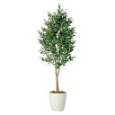 フェイクグリーン【 ライプオリーブデュアル 】幅80 × 奥行60 × 高さ180cmオフィスグリーン 観葉植物 フェイク 人工観葉植物 大型 開業祝い 開店祝...