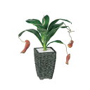 フェイクグリーン【 ウツボカズラ 】幅30 × 奥行30 × 高さ35cmオフィスグリーン 観葉植物 フェイク 人工観葉植物 卓上 開業祝い 開店祝い 移転祝い...