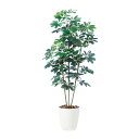 フェイクグリーン【 光触媒 シェフレラ 】幅75 × 奥行65 × 高さ150cmオフィスグリーン 観葉植物 フェイク 人工観葉植物 大型 開業祝い 開店祝い ...