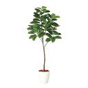 フェイクグリーン【 光触媒 アルテシマ FST 】幅70 × 奥行60 × 高さ180cmオフィスグリーン 観葉植物 フェイク 人工観葉植物 大型 開業祝い 開...