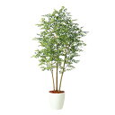 フェイクグリーン【 光触媒 ゴールデンリーフ FST 】幅80 × 奥行80 × 高さ180cmオフィスグリーン 観葉植物 フェイク 人工観葉植物 大型 開業祝...