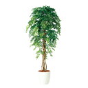 フェイクグリーン【 光触媒 アカシアリアナ 】幅90 × 奥行90 × 高さ180cmオフィスグリーン 観葉植物 フェイク 人工観葉植物 大型 開業祝い 開店祝...