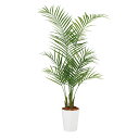 フェイクグリーン【 光触媒 アレカヤシ PE 】幅60 × 奥行60 × 高さ130cmオフィスグリーン 観葉植物 フェイク 人工観葉植物 大型 開業祝い 開店...