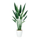 フェイクグリーン【 光触媒 ストレリチア・レギネ 】幅70 × 奥行70 × 高さ130cmオフィスグリーン 観葉植物 フェイク 人工観葉植物 大型 開業祝い ...