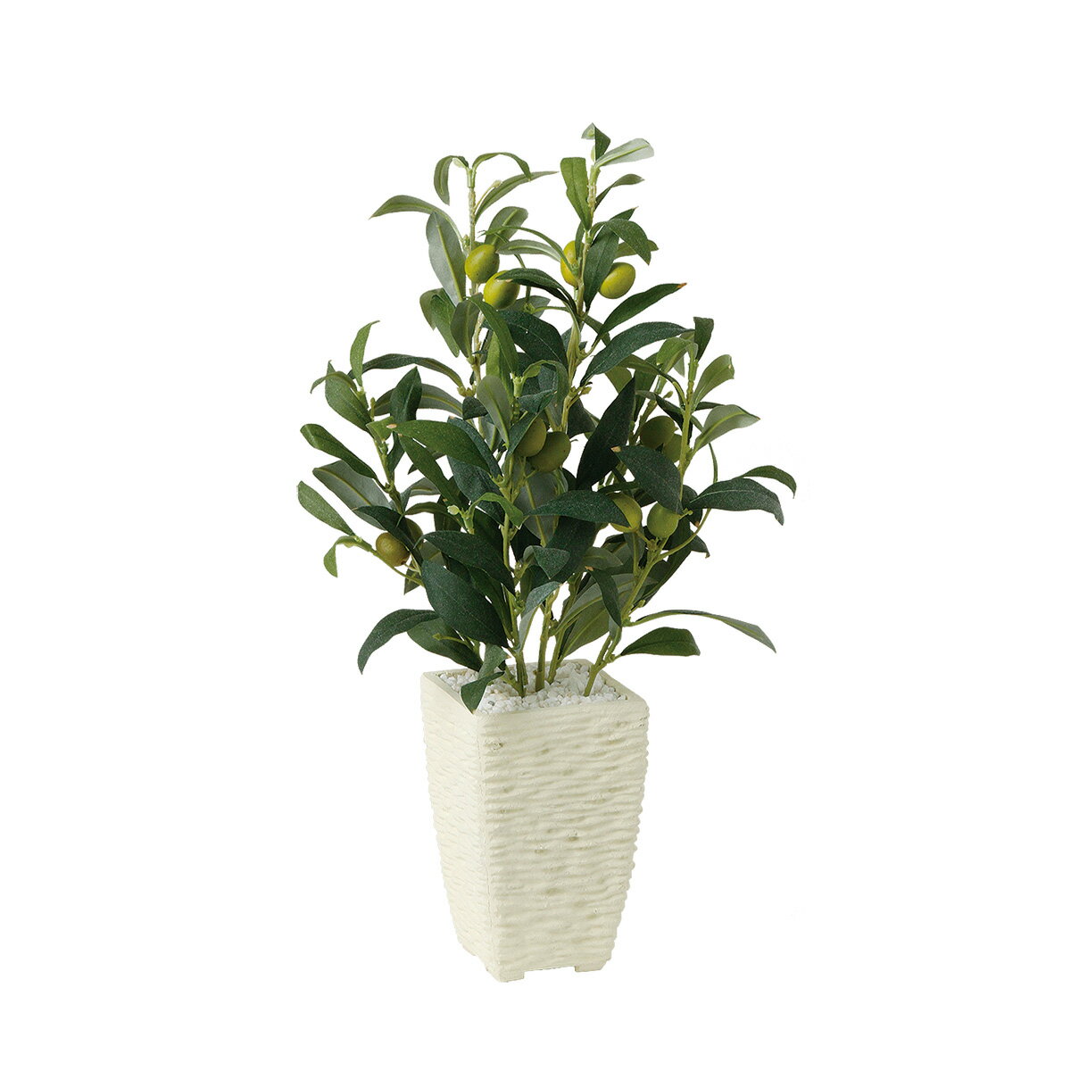 商品情報 ◆商品名：【 ライプオリーブ 】 ◆サイズ：【 W25 × D20 × H40cm 】 ◆器：【 Pスクエア(WH) 】 ペーバーマッシュ（ストーン仕上） 関連商品 高さ 通常商品 光触媒加工 H40cm Click Click 追加オプション ◆ラッピング・祝い札・メッセージカードは　こちら 商品特徴 ◆人工樹木は水やりいらずで、枯れる心配はありません。 主な用途 フェイクグリーン 人工観葉植物 インテリアグリーン オフィスグリーン 人工樹木 造花 観葉植物 スタイリッシュグリーン 大型 卓上 フェイク 商品キーワード 引っ越し 新築 移転 ギフト プレゼント 御祝 お祝い 贈答 贈り物 設立祝い 開店祝い 開業祝い 移転祝い 引越祝い 新築祝い 結婚祝い 出産祝い 誕生日 記念日 母の日 父の日 敬老の日 インテリア 癒し 消臭 除菌 衝立 おすすめ設置場所 オフィス 会社 事業所 事務所 会議室 フロア 受付 社長室 応接室 店舗 お店 飲食店 モデルルーム ショールーム ホテル レストラン カフェ 病院 美容室 理髪店 歯科 自宅 別荘 玄関 リビング 寝室 メーカー ◆TOKA 発送について ◆メーカー直送 ◆ご注文受付後、2-7営業日以内に発送予定です。 商品お届け後と返品について ◆商品到着後、すぐ開梱をして中身のご確認をお願いいたします。 ◆商品の検品は万全を期しておりますが、万一商品に破損があった　場合は商品到着後一週間以内にご連絡をお願いします。 ◆破損・不良品以外でのお客様のご都合による返品は、　お受けし兼ねますのでご了承下さい。 備考 ◆サイズガイドは　こちら ◆商品お届け後のお取り扱いは　こちら ◆商品ご使用上の注意は　こちら ◆ご購入後のメンテナンスは　こちら