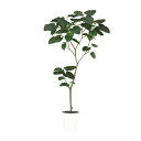 フェイクグリーン【 HQ ウンベラータ FST 】幅80 × 奥行70 × 高さ150cmオフィスグリーン 観葉植物 フェイク 人工観葉植物 大型 開業祝い 開...