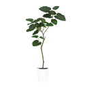 フェイクグリーン【 光触媒 HQ ウンベラータ FST 】幅60 × 奥行45 × 高さ120cmオフィスグリーン 観葉植物 フェイク 人工観葉植物 大型 開業...