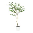 フェイクグリーン【 光触媒 ドウダンツツジ FST 】幅90 × 奥行80 × 高さ160cmオフィスグリーン 観葉植物 フェイク 人工観葉植物 大型 開業祝い...