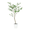 フェイクグリーン【 ドウダンツツジ FST 】高さ130 × 幅70 × 奥行65cmオフィスグリーン 観葉植物 フェイク 人工観葉植物 大型 開業祝い 開店祝...