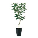 フェイクグリーン【 光触媒 デコラゴム FST 】幅70 × 奥行50 × 高さ150cmオフィスグリーン 観葉植物 フェイク 人工観葉植物 大型 開業祝い 開...