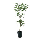 フェイクグリーン【 デコラトリカラー FST 】幅70 × 奥行50 × 高さ180cmオフィスグリーン 観葉植物 フェイク 人工観葉植物 大型 開業祝い 開店...