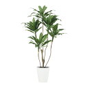 フェイクグリーン【 光触媒 コルディリネ 】幅90 × 奥行90 × 高さ160cmオフィスグリーン 観葉植物 フェイク 人工観葉植物 大型 開業祝い 開店祝い...